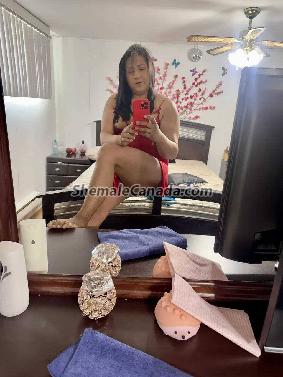 High park, Toronto, TS/TG Shemale Escorts - 416-833-3903
