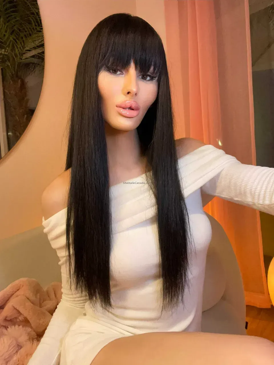 Cn tower, Toronto, TS/TG Shemale Escorts - 647-375-9936